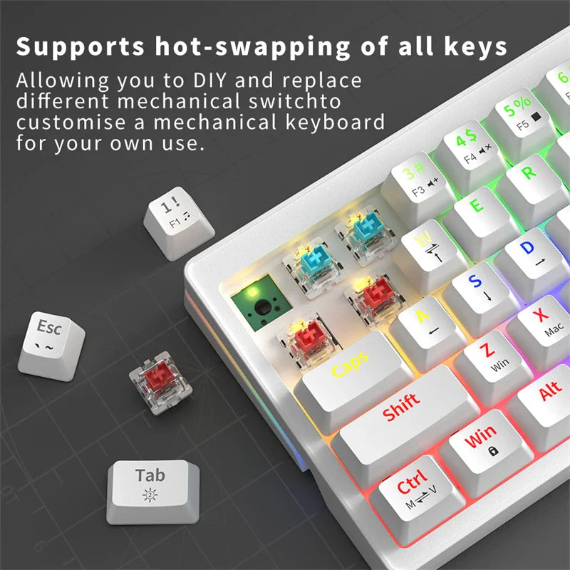 ZIFRIEND ZA63 Mechanical Keyboard 63 Keys Hot Swappable Wired RGB Red Blue Switch Gaming Anti-ghosting 60% Keyboard White Keycap